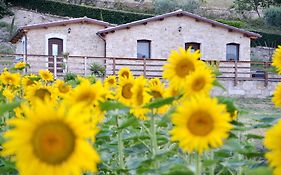 Agriturismo Fontefredda
